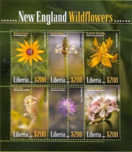 A8092- LIBERIA -  ERROR MISPERF Stamp Sheet -2021 PLANTS Flowers