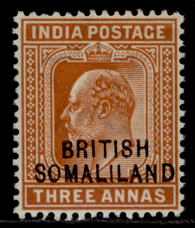 SOMALILAND PROTECTORATE EDVII SG28, 3a orange-brown, M MINT.