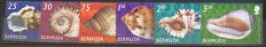 BERMUDA 2002 SHELLS..PART SET TO $5. CAT £21 UNMOUNTED MINT.