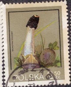 Poland 2399 1980 Used