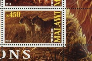 Malawi Lion Panthera Leo Wild Animal Fauna Souvenir Sheet of 4 Stamps Mint NH