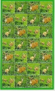 Turkmenistan 2009 Fauna artiodactyl goats rams sheetlet MNH