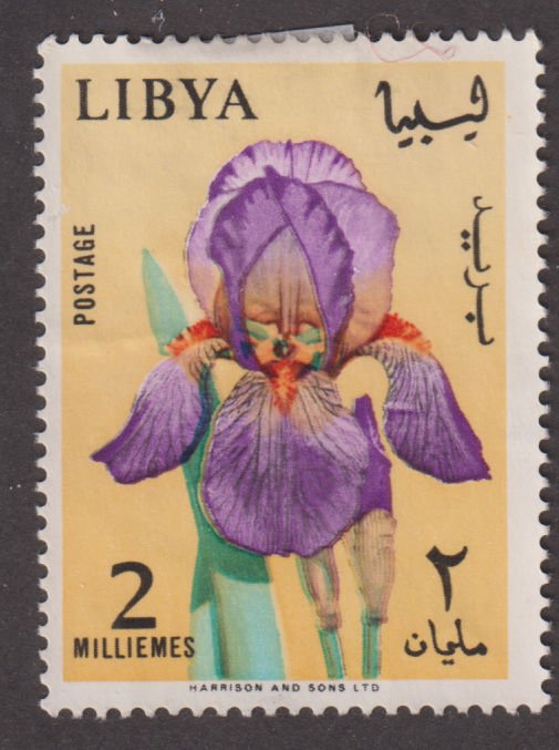 Libya 285 Iris 1965