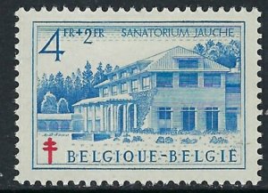 Belgium B490 MLH 1950 issue (ak3364)