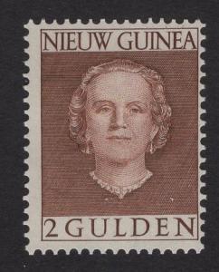 Netherlands New Guinea   #20  MH 1950  Juliana   2g