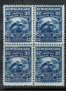 Newfoundland #69 Very Fine Never Hinged Block