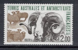 FRENCH ANTARCTIC 1989 Sheep; Scott 149, Yver 141; MNH