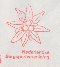Meter cover Netherlands 1974 Flower - Edelweiss - The Hague