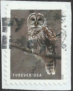 # 5536 Used Winter Scenes