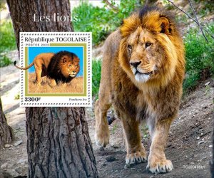 TOGO - 2022 - Lions - Perf Souv Sheet #1 - Mint Never Hinged