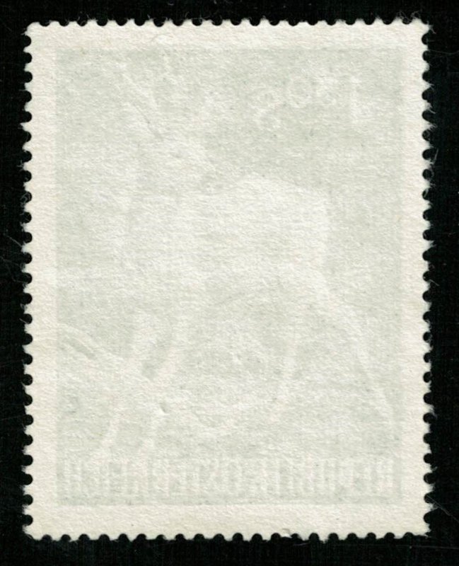 Animal 1,5S (T-5363)