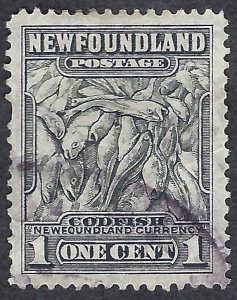 Newfoundland #253 1¢ Codfish (1941). Perf. 12.5.
