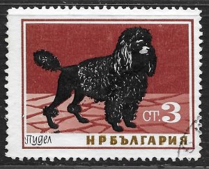 Bulgaria #1350 3s Dogs - Poodle