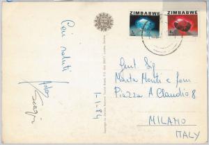 56779 - MINERALS - ZIMBABWE - POSTAL HISTORY:   STAMPS  on  POSTCARD  1984