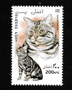 Afghanistan 1996 - MNH - Unlisted - Pic 1 *