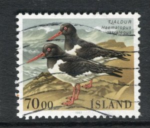 ICELAND; 1990s early Birds issue fine used 70k. value