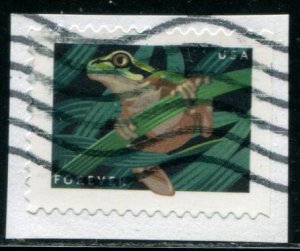 5398 US (55c) Frogs - Squirrel Tree Frog SA, used on paper