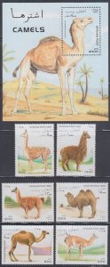 AFGHANISTAN # 009 (Unlisted) CPL MNH  SET of 6 + S/S DROMEDARIES