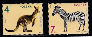 Poland # 1894,1896, Zebra, Kangaroo, Zoo Animals, Mint NH, 1/3 Cat.