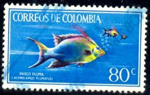 Fish, Plumed Hogfish, Colombia stamp SC#760 used