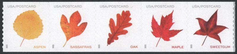 SC#5971-5975 (Postcard Rate) Vibrant Leaves Coil Strip of Five (2025) SA