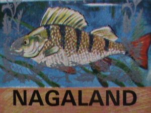 ​NAGALAND-PROMOTION SALES-HERON BIRD & PERCH FISH-MNH IMPERF S/S VERY FINE