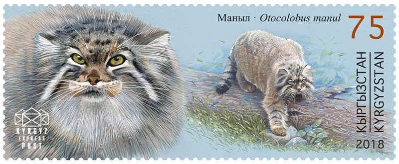 Stamps of Kyrgyzstan 2018. - Red Book of Kyrgyzstan - Pallas's cat. Stamp.