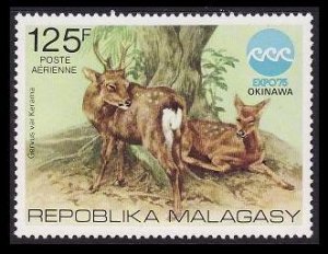 Malagasy Rep. Sika Deer Fauna Okinawa Expo 1975 MNH SG#324