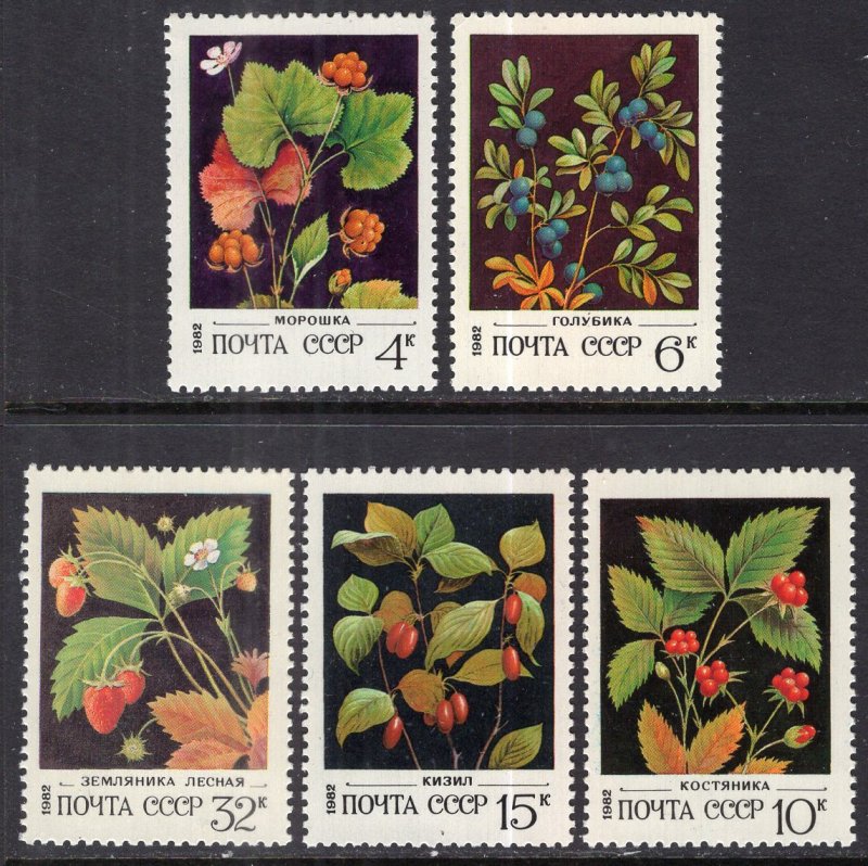 Russia & Soviet Union5023-5027 Berries MNH VF