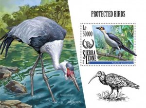 Sierra Leone - 2019 Protected Birds - Stamp Souvenir Sheet - SRL191207b