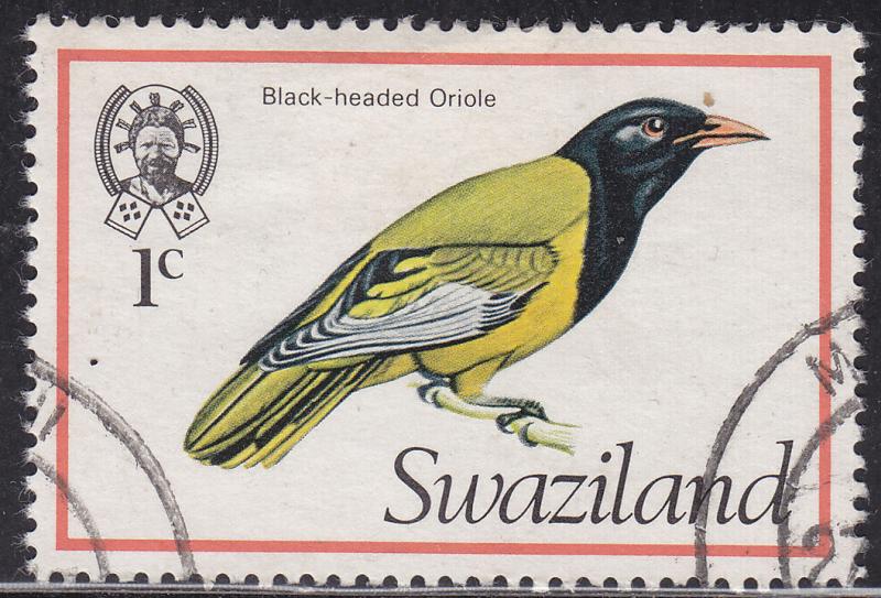 Swaziland 244 Black-Headed Oriole 1976