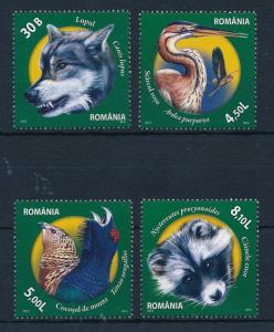 [33259] Romania 2011 Wildlife Birds Wolf Raccoon dog MNH