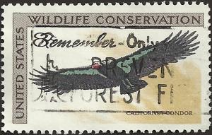 # 1430 USED CALIFORNIA CONDOR