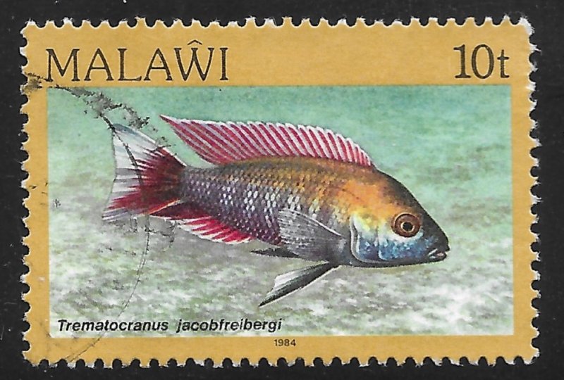 Malawi #432 10t Fish - Trematocranus Jacobfreibergi