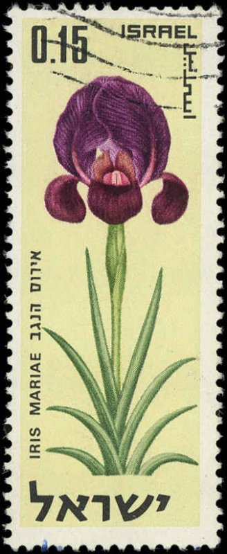 Israel Scott 415 Used -  15a Iris - Nice, clean stamp