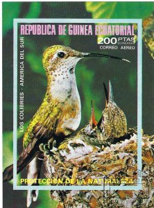 EQUATORIAL GUINEE MiBk150 USED SS BIRDS BIN $2.50