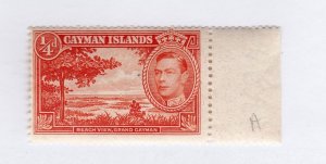 Cayman Islands      100a          MNH OG