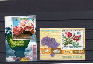 EQUATORIAL GUINEA 1976 PAINTINGS/FLOWERS SET OF 2 S/S MNH