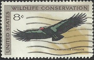 # 1430 USED CALIFORNIA CONDOR