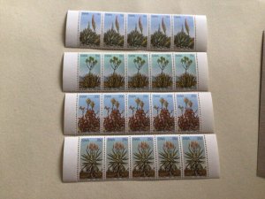 Aloe Plants South West Africa 1981 mint never hinged stamps strips A10473