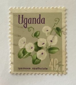 Uganda 1969 Scott 120 used - 40c, Flowers, Ipomoea spathulata