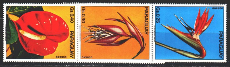 Paraguay. 1973. 2525-31. Flowers, flora. MNH.