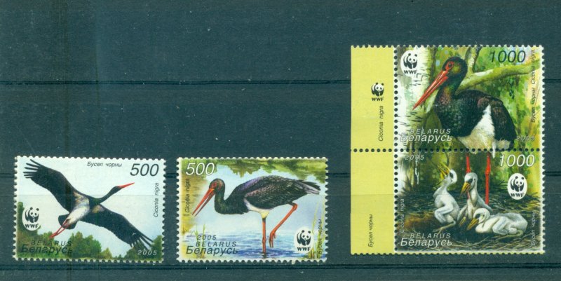 Belarus - Sc# 539-61. 2005 Birds. MNH $3.00.
