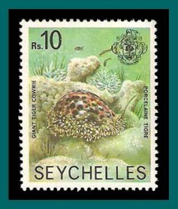 Seychelles 1978 Giant Tiger Cowrie, MNH  401,SG417A