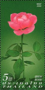 2006 - Thailand - Rose