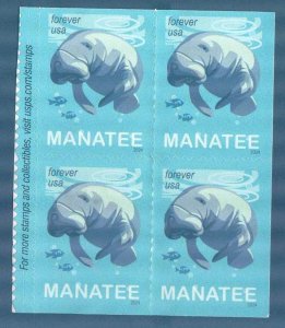 United States USA 2024 Marine Life Manatee Block of 4 MNH