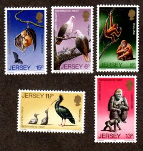 Jersey # 217-221 Mint!