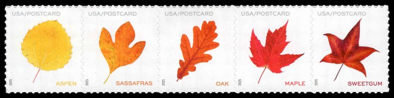 USA 5970a,5966-5970 Mint (NH) Vibrant Leaves Strip of 5 (Postcard Rate 61c)