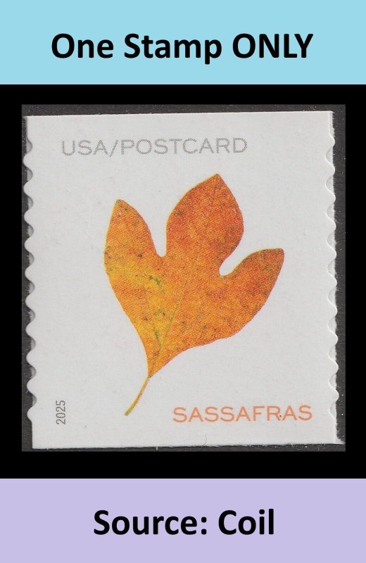 US 5971-5975 Vibrant Leaves postcard rate coil single set 5 MNH 2025