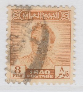 1948 Iraq 8f Used Stamp A22P1F7563-